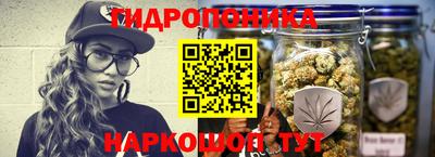 гашик Абинск