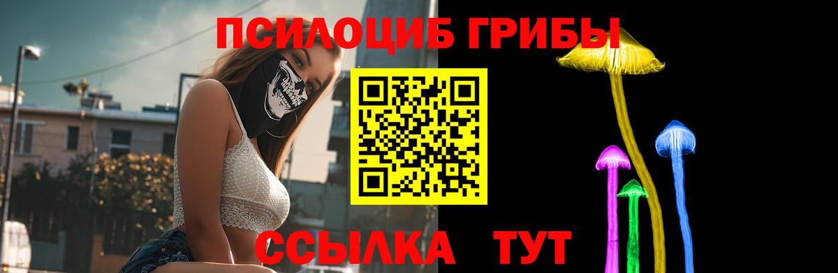 Псилоцибиновые грибы Cubensis  Вход с VPN  Алексеевка  где продают наркотики  Галлюциногенные грибы мицелий 